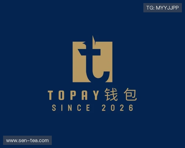 发现TOPAY钱包